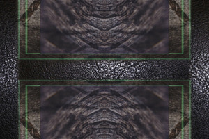 Texture of the skin