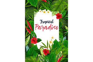 Exotic Flowers And Tropical Leaves