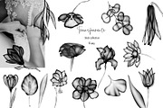 TRANSPARENT FLORA abstract BUNDLE, a Texture Illustration by ArtOLB (Thumbnail 5 of 14)