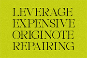 grotesis | Modern Minimalism, a Serif Font by InkwellTypeCo (Thumbnail 11 of 17)