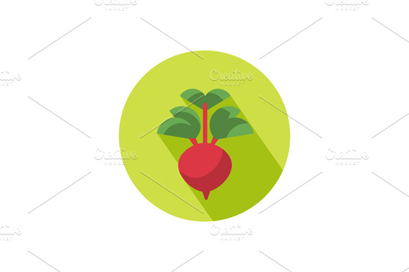 Radish Icon