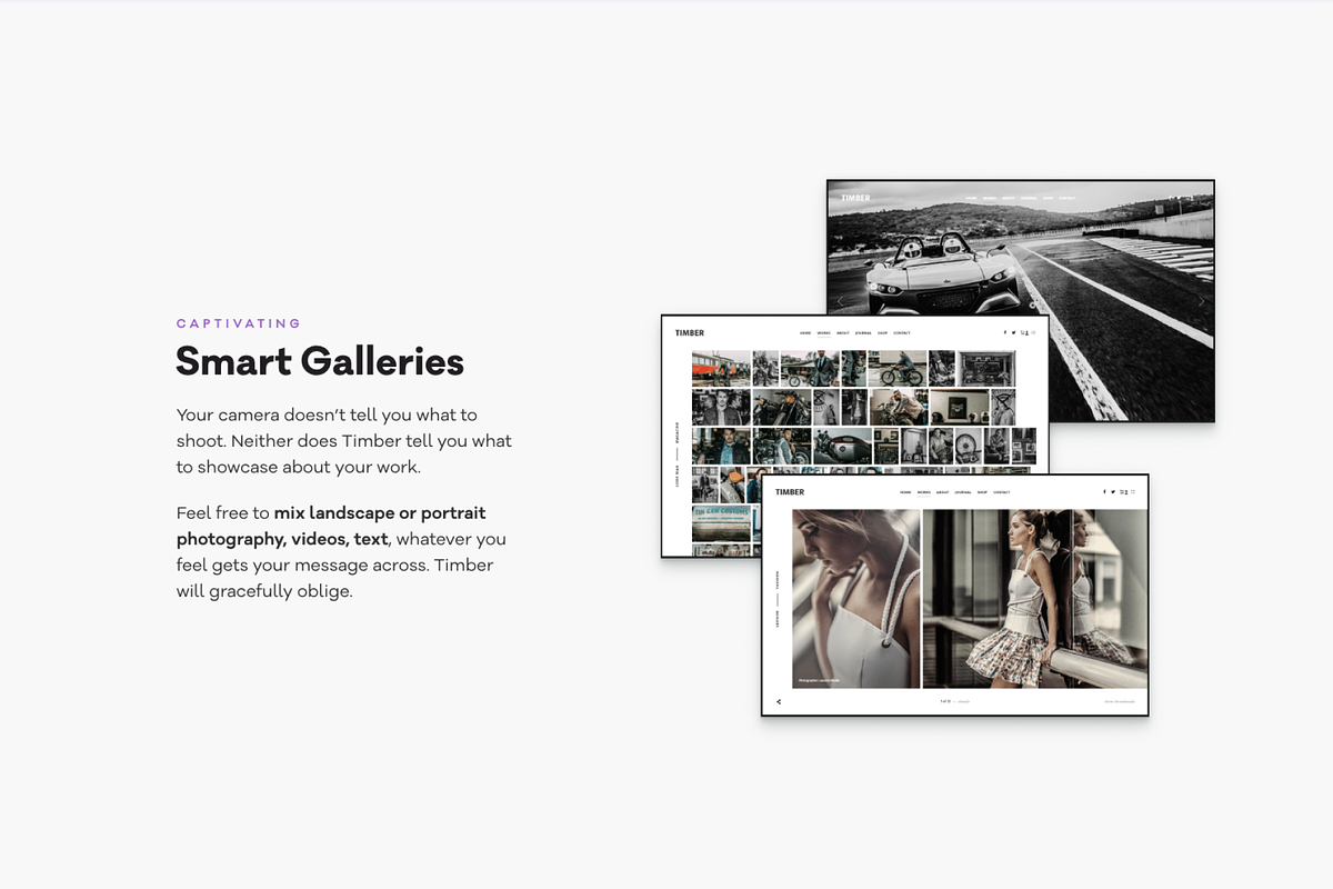 TIMBER - Unusual Photography Theme, a WordPress Template by Pixelgrade (Photo 3 of 5)