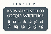 Ralrest - Modern Bold Branding Serif, a Serif Font by Qweera Studio (Thumbnail 11 of 12)