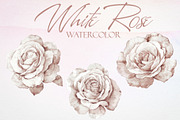 Watercolor White Rose Vector Set, a Graphic by Deckar_art (Thumbnail 1 of 5)