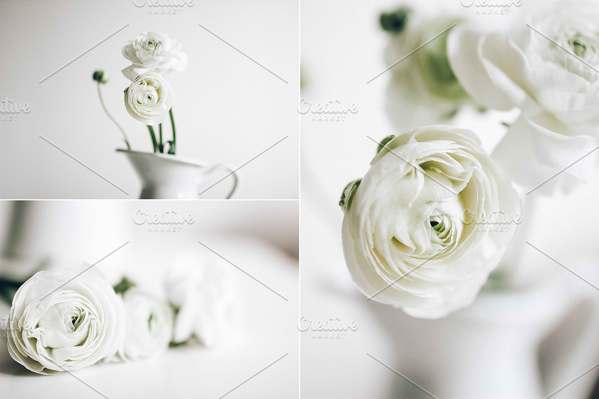 Ranunculus and blooming branches, an Arts & Entertainment Photo by Alena Ermakova (Photo 3 of 3)