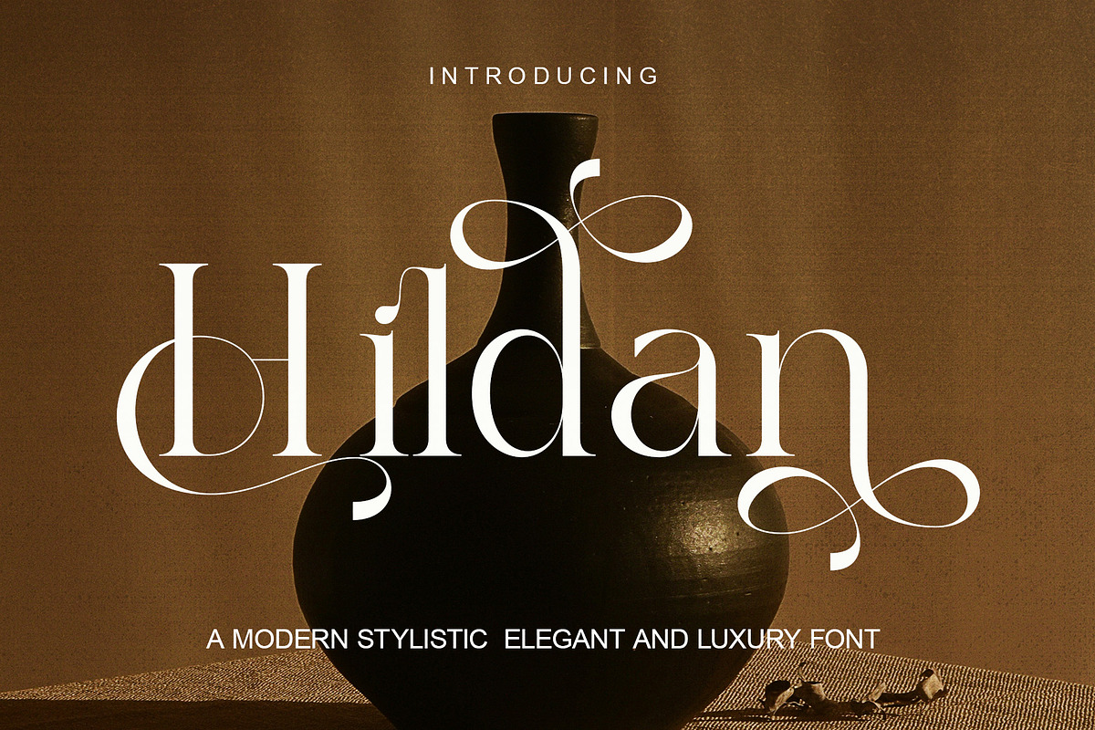 Hildan Modern Ligature Serif, a Serif Font by Alfinart (Photo 1 of 10)