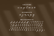 Emillam Script Fonts, a Script Font by mahstudios (Thumbnail 13 of 15)