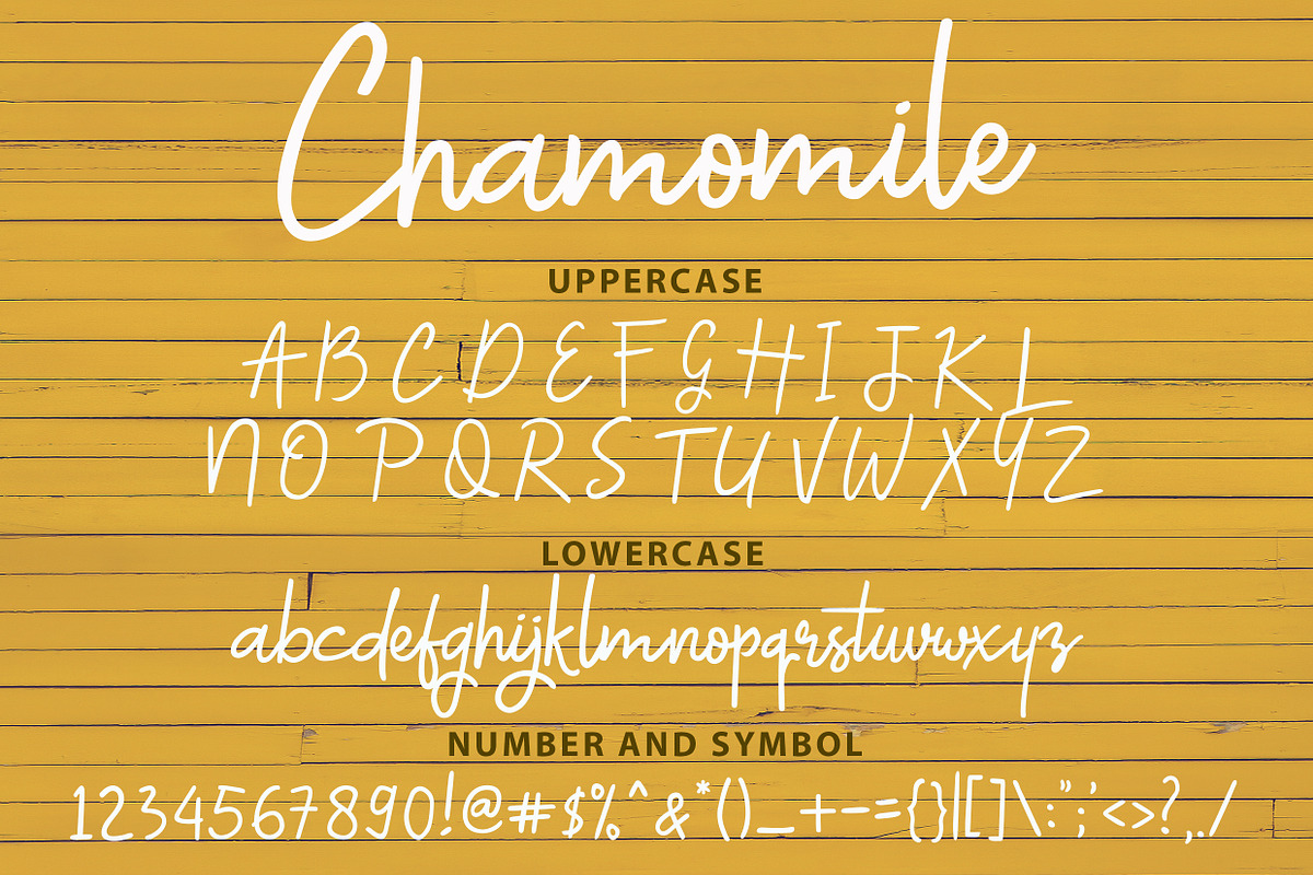 Chamomile Script Font preview 6