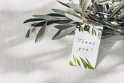 Olives. Watercolor collection, an Illustration by Kuzya's shop (Thumbnail 8 of 8)