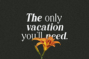 Editorial Revival Serif (70 fonts), a Serif Font by MaxArt Foundry (Thumbnail 9 of 30)