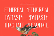 Bragute Sans Serif Display, a Sans Serif Font by timelesstype.co (Thumbnail 4 of 10)
