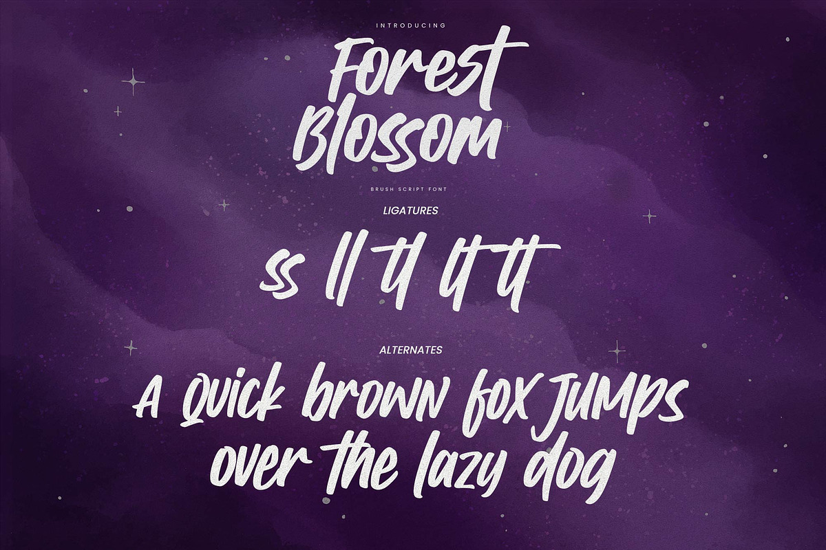 Forrest Blossom – Quick Brush Font, a Handwritten Font by Gassstype (Photo 7 of 8)