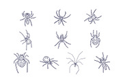 Breeds Spider Handdrawn Vol 2, an Animal Illustration by SLAB! Design (Thumbnail 2 of 3)