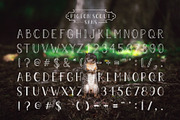Pigeon Scout Font Collection, a Sans Serif Font by Hatch Design Workshop (Thumbnail 3 of 7)