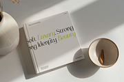 Sainer Bagora Modern Serif, a Serif Font by timelesstype.co (Thumbnail 7 of 20)