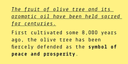 Centima Mono, a Font by TipografiaRamis (Thumbnail 5 of 5)