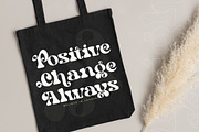 Bright Films Modern Retro Serif, a Serif Font by timelesstype.co (Thumbnail 5 of 20)