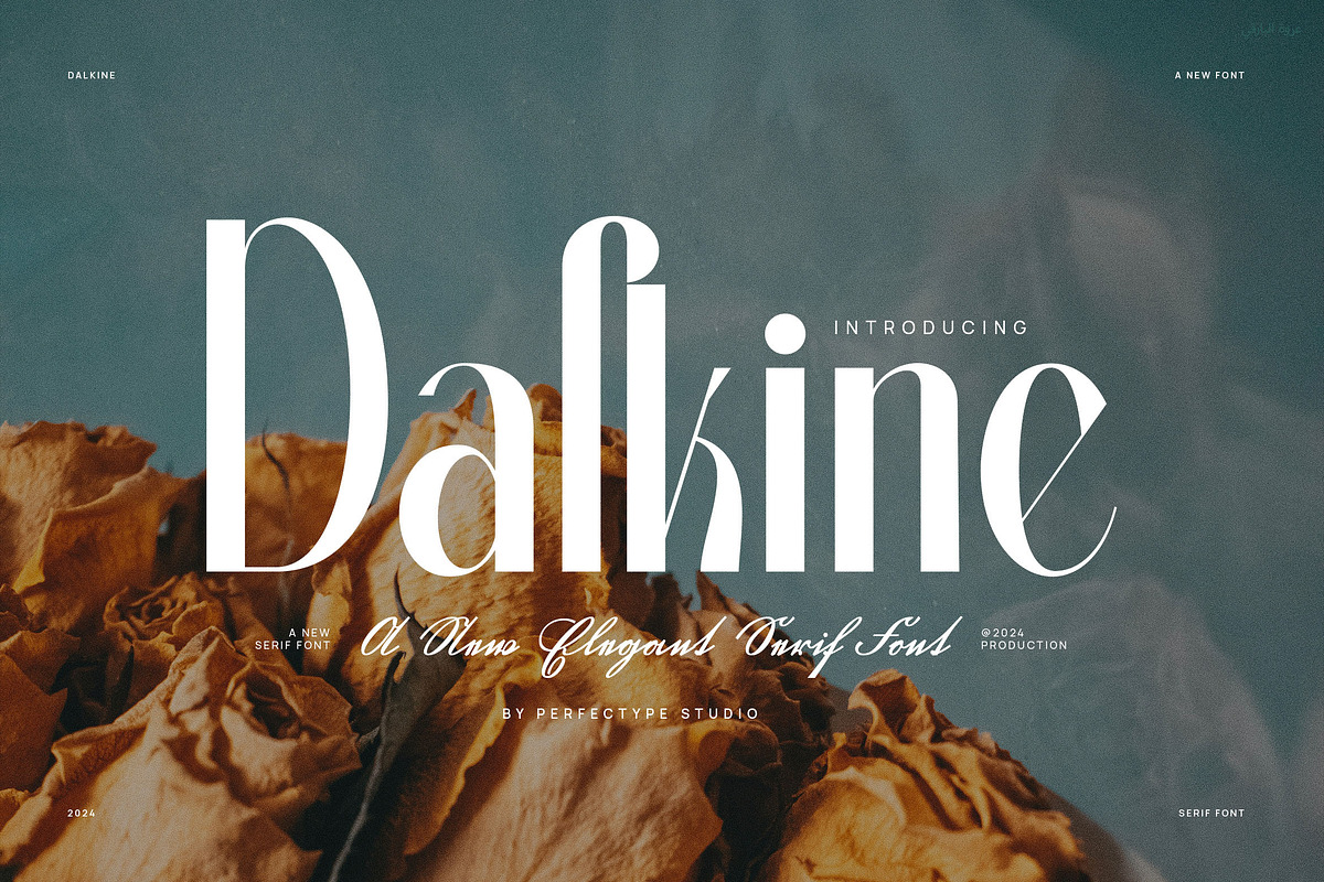 Dalkine Modern Serif Font, a Serif Font by Perfectype (Photo 1 of 6)