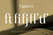 Qualifies - Serif Font, a Serif Font by Alpaprana (Thumbnail 2 of 11)