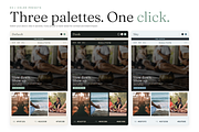 Halcyon Shopify Theme, a Shopify Template by Ibnul Jaif Farabi (Thumbnail 3 of 8)