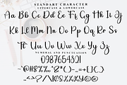 Shunshine Beautiful, a Handwritten Font by FreshTypeINK (Thumbnail 5 of 8)