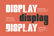 Rodeas || Vintage Display Font, a Sans Serif Font by Ermedia Studio (Thumbnail 3 of 10)