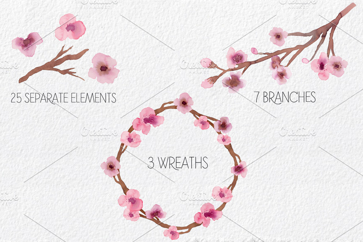 Cherry Blossoms- Watercolor clipart, an Illustration by MaraquelaStudio (Photo 2 of 7)