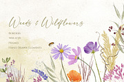 Weeds & Wildflowers Design Set, an Illustration by Maggie Stilwell Design (Thumbnail 1 of 16)