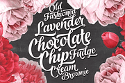 Black Script -12 fonts + extras pack, a Script Font by Fenotype (Thumbnail 5 of 11)