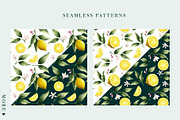 Watercolor vector lemons collection, a Healthcare Illustration by kaer_shop (Thumbnail 7 of 8)