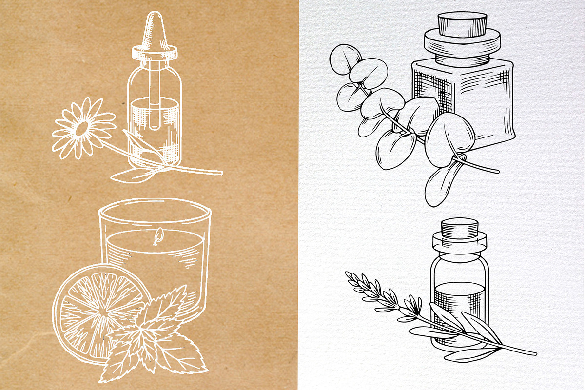 Aromatherapy. Medicinal herbs, a Healthcare Illustration by made by Tanya (Photo 4 of 6)