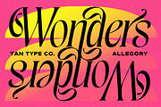 TAN - ALLEGORY, DUO FONT, a Serif Font by TanType (Thumbnail 9 of 10)