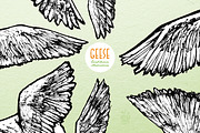 Geese - Hand Drawn Illustrations, an Animal Illustration by Andrea Tardivo (Thumbnail 2 of 4)