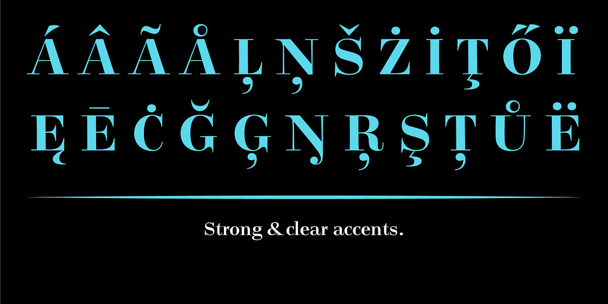 Legit Didone Head, a Serif Font by Finaltype (Photo 7 of 14)