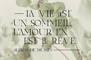 Laxura - Majestic Typeface, a Serif Font by CCS Type (Thumbnail 15 of 28)