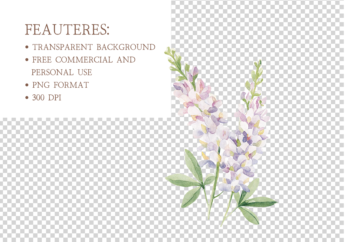 Blush and Dusty Rose Wildflower, an Illustration by MockupWizard (Photo 5 of 6)