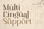 Emira - Unique Luxury Logo Font, a Serif Font by Sensatype (Thumbnail 12 of 12)