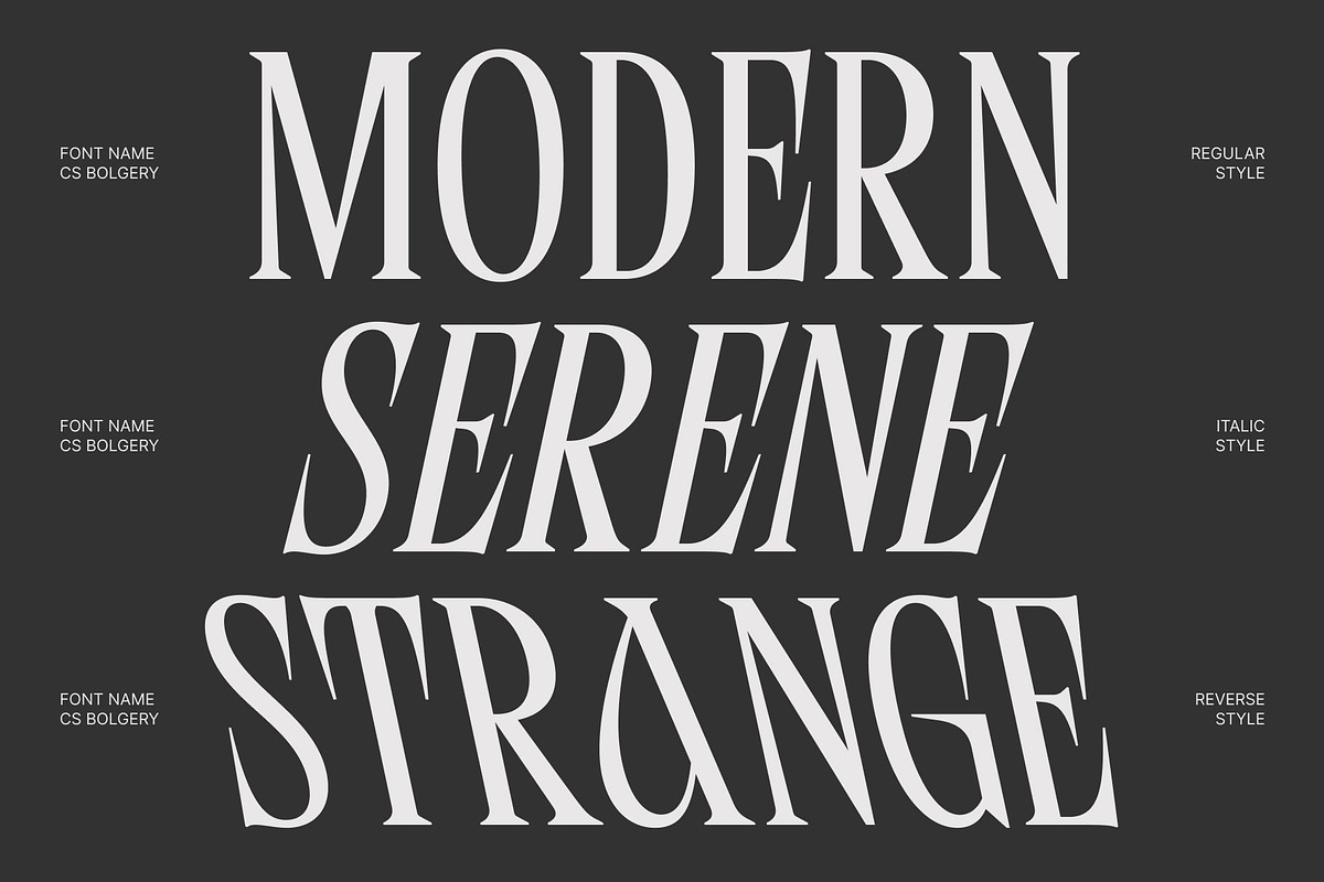 CS Bolgery – Elegant Serif Font, a Serif Font by Craft Supply Co. (Photo 2 of 8)