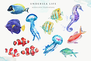 Undersea Life Watercolor, an Animal Illustration by Kolorata Art (Thumbnail 3 of 14)