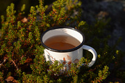 Camping Mug Photo Mockups Set, a Cups & Container Mockup by NataliArkushArt (Thumbnail 6 of 8)