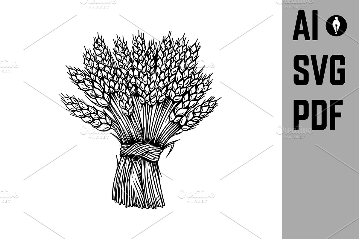 sheaf of wheat in engraving style, a Food Illustration by Vectorhight
