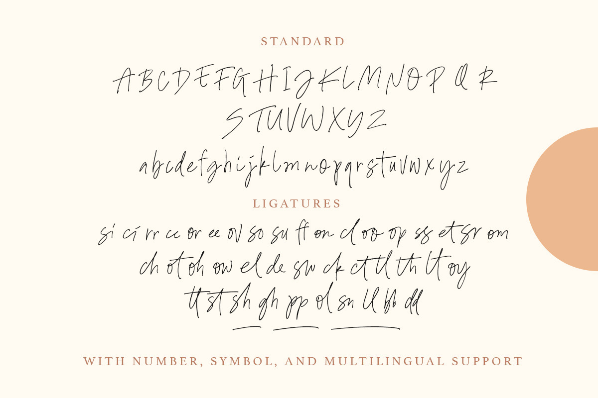 Another Passion - Handwritten Font, a Script Font by Sarid Ezra (Photo 10 of 10)