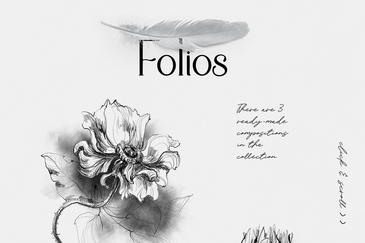 Folios. Botanical illustrations, an Object Illustration by Colden Blue (Photo 8 of 13)