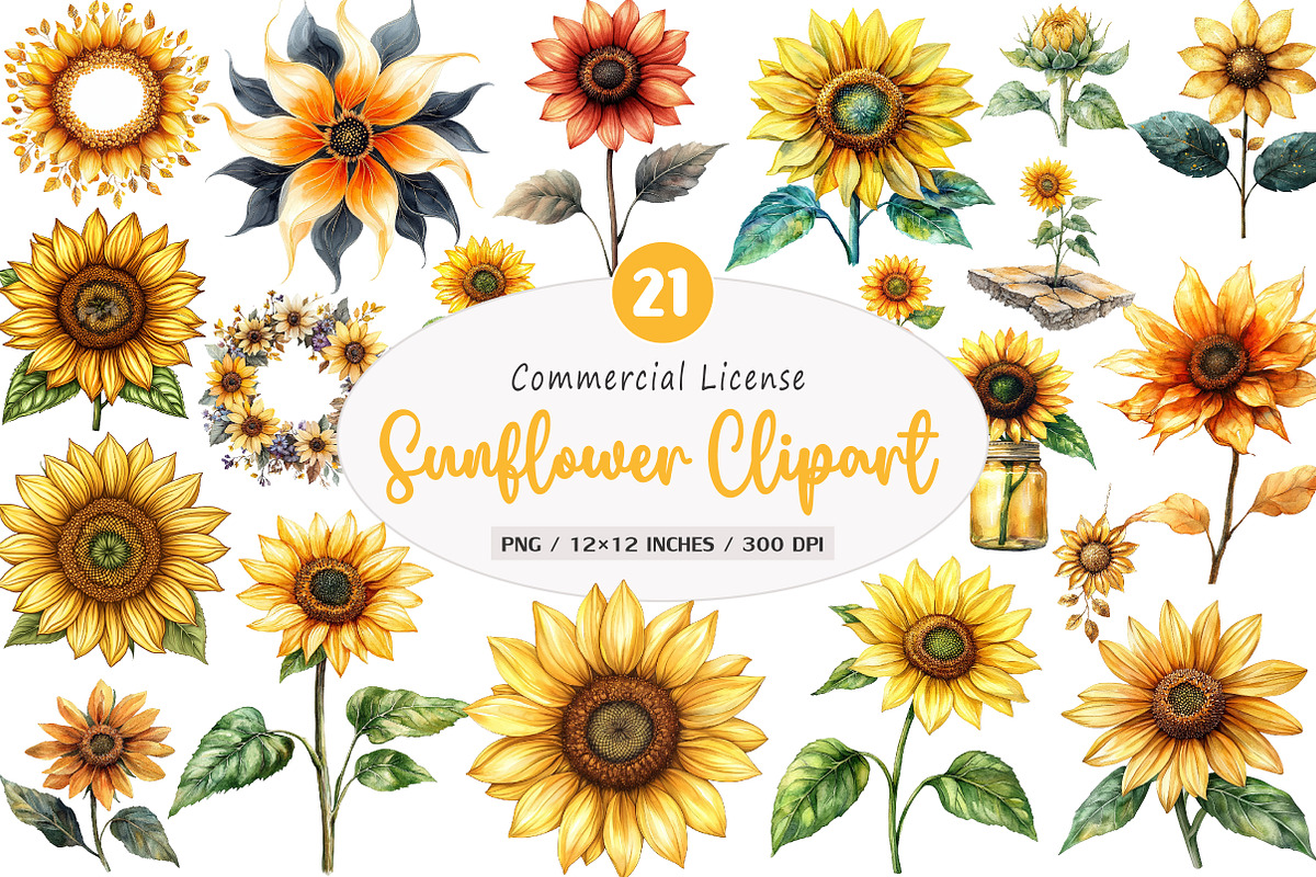 Watercolor Summer Sunflower Clipart, an Illustration by SinaCreation (Photo 1 of 5)
