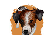 Puppies Dog Breeds Big Bundle 135Pcs, an Animal Illustration by Dneprstock (Thumbnail 32 of 68)