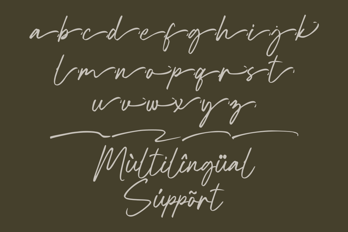 Baleono - Script Font, a Handwritten Font by GFRcreative (Photo 8 of 8)