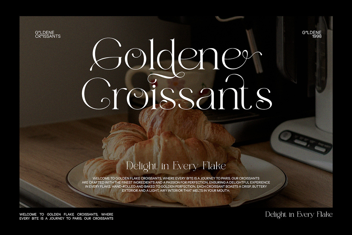 Hegina Ligature Serif Font, a Serif Font by Graphicxell (Photo 3 of 8)