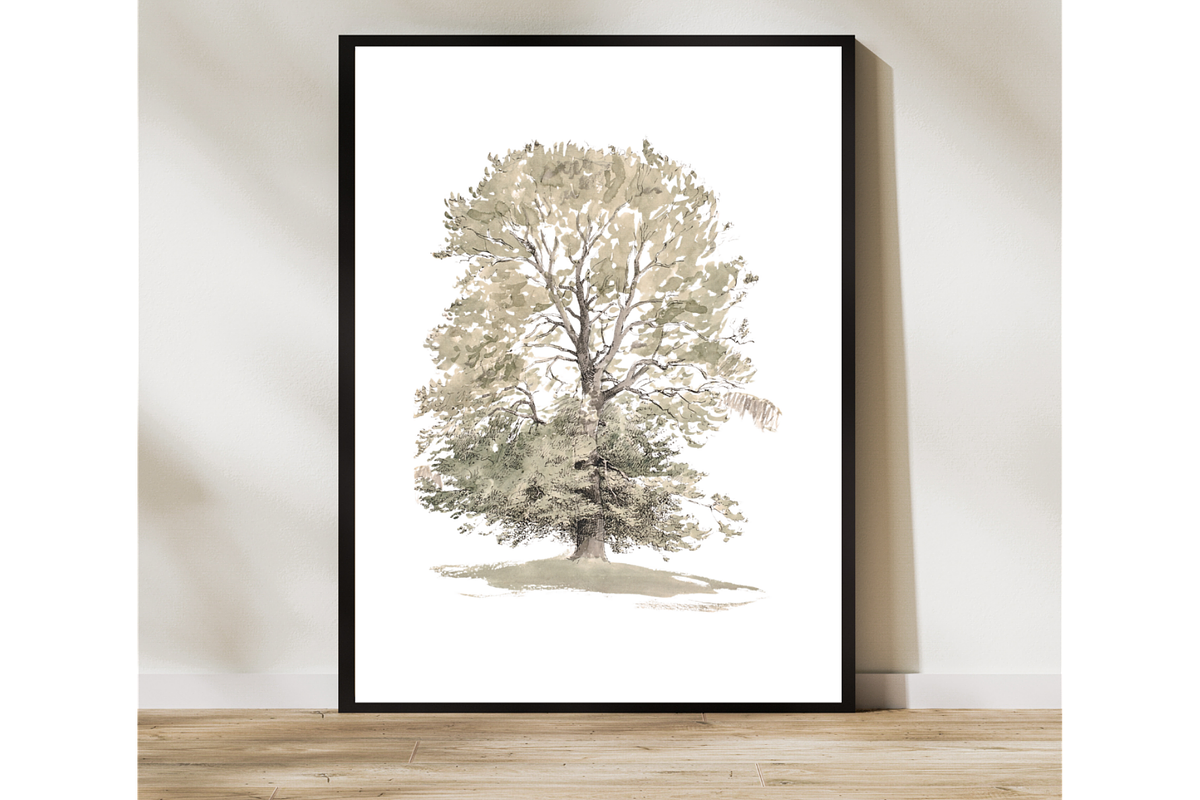 Vintage Tree Sketch Wall Art, a Decorative Illustration by Pink_bloom (Photo 8 of 10)