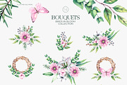 Birds in Bloom Watercolor Floral set, an Animal Illustration by SashaKondr (Thumbnail 11 of 17)