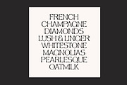 New Look Typeface ( +Variable Fonts), a Sans Serif Font by Nicky Laatz (Thumbnail 11 of 35)